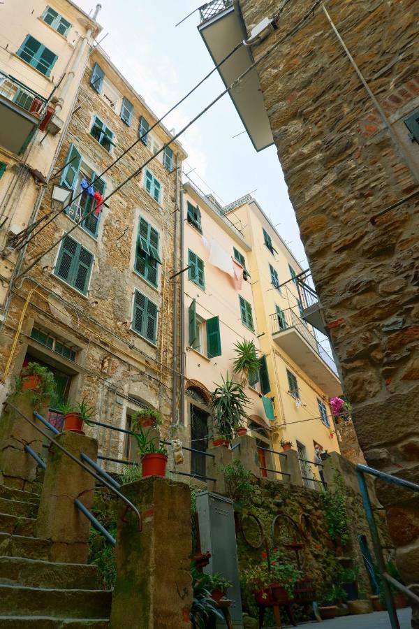 Apartment Albarola